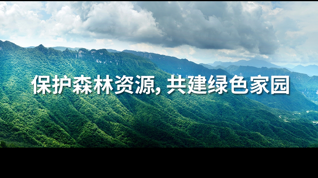 金鷹為您解答森林資源進行資產(chǎn)評估的重要性！